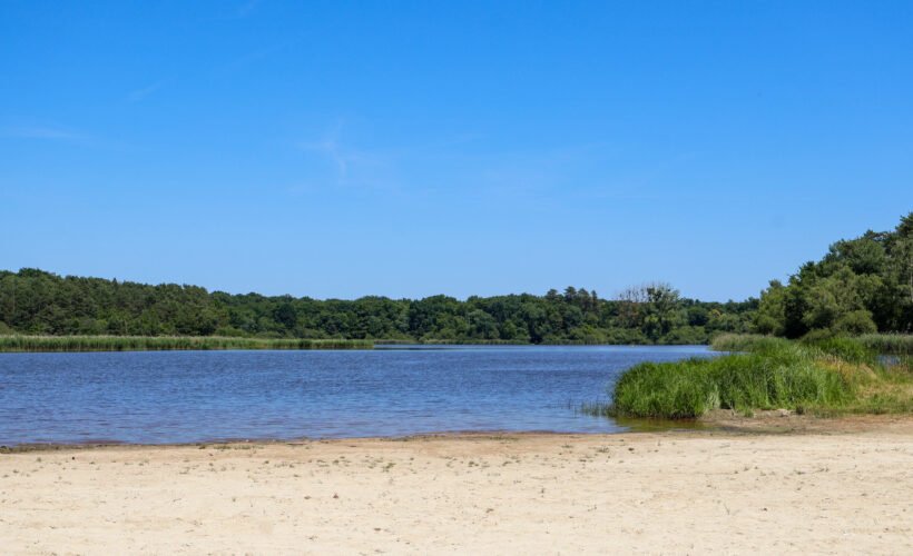 17CA168D-BD01-4696-ADDB-F2D8ED223589